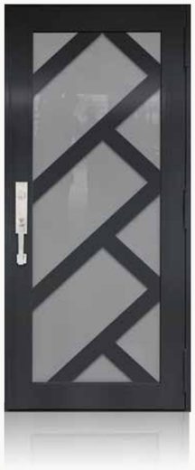Single Bronze № 47 — decorative door panel design TD-SD-B47
